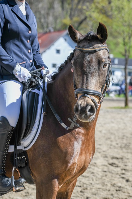 足球曝足协将推出新政，转会制度大调整