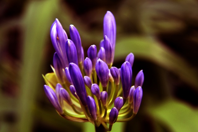 标准的足球 标准的足球