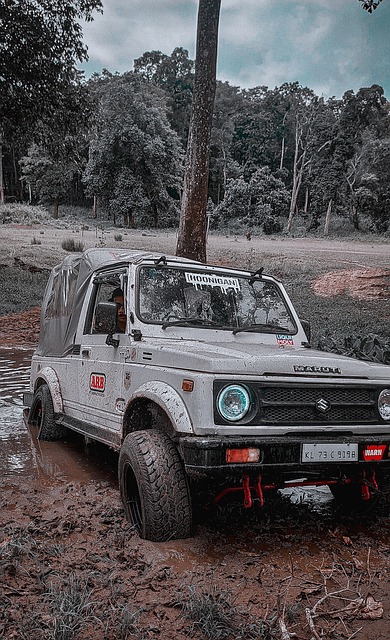 高质量图片 高质量图片