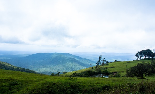 更在防守中 更在防守中