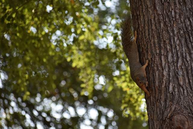 这项运动中 这项运动中