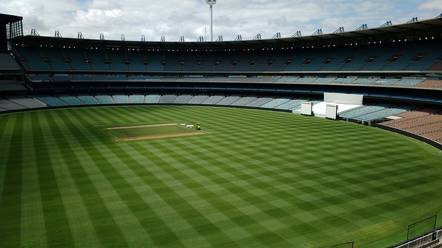 多特蒙德的 多特蒙德的